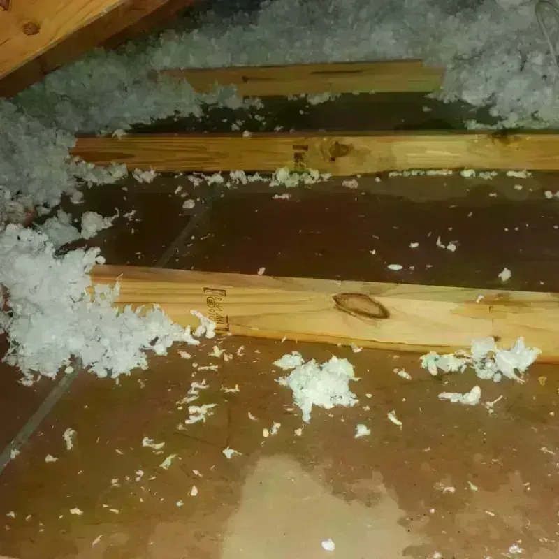 Attic Water Damage in Courtland, VA